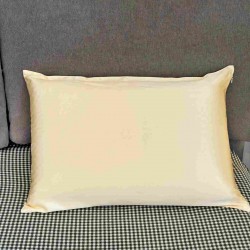 Μεταξωτή Μαξιλαροθήκη Mulberry Silk Champagne 50x70εκ. 6A 22MM 1τμχ