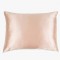 Μεταξωτή Μαξιλαροθήκη Mulberry Silk Pink 50x70εκ. 6A 22MM 1τμχ